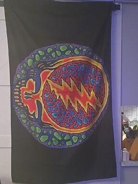 Grateful Dead Psychedelic Skull Flag For Outdoors Double-sided 60x36
